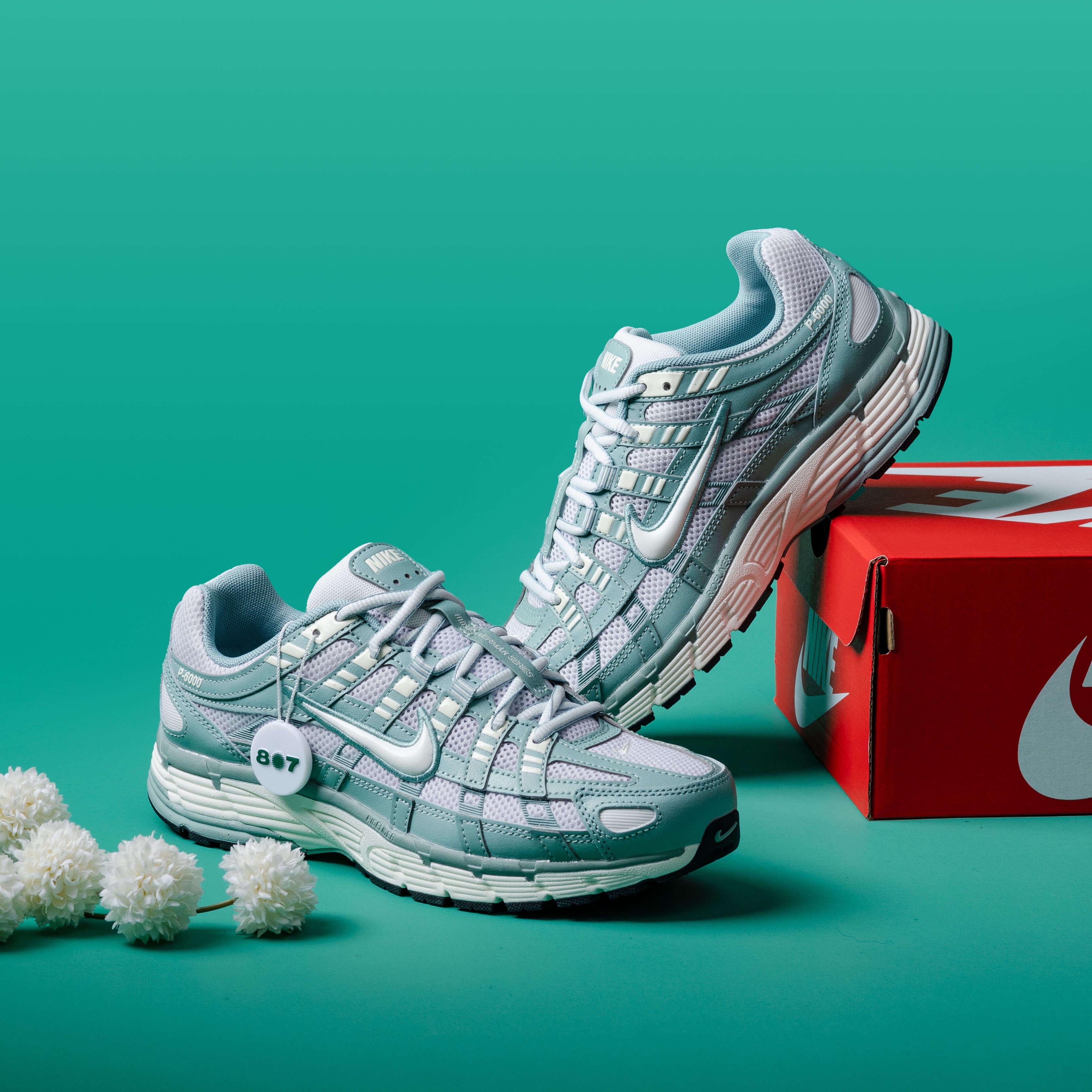 Nike P6000 Cannon Pearl Platinum