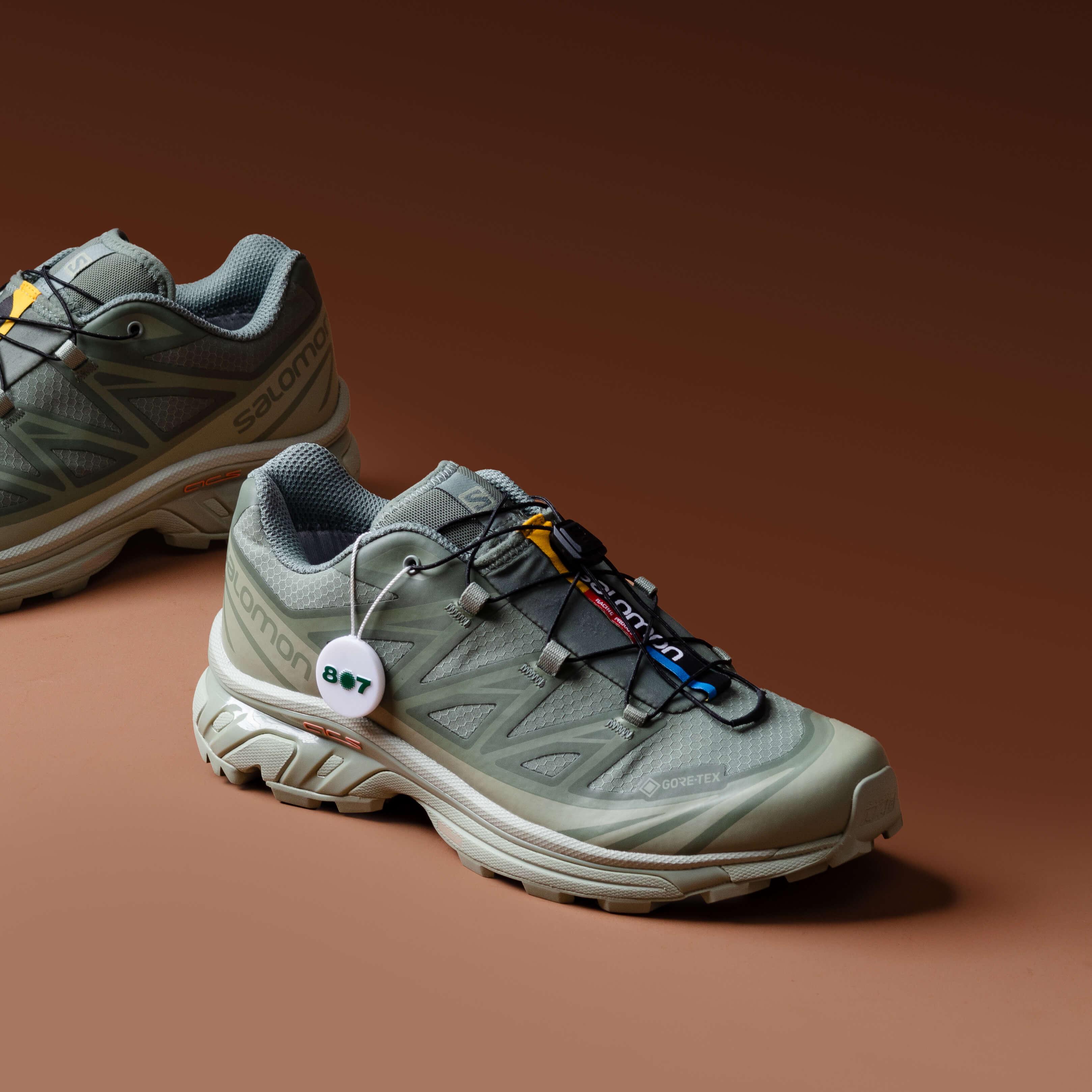 Salomon XT6 Goretex Desert Sage Lily Pad 