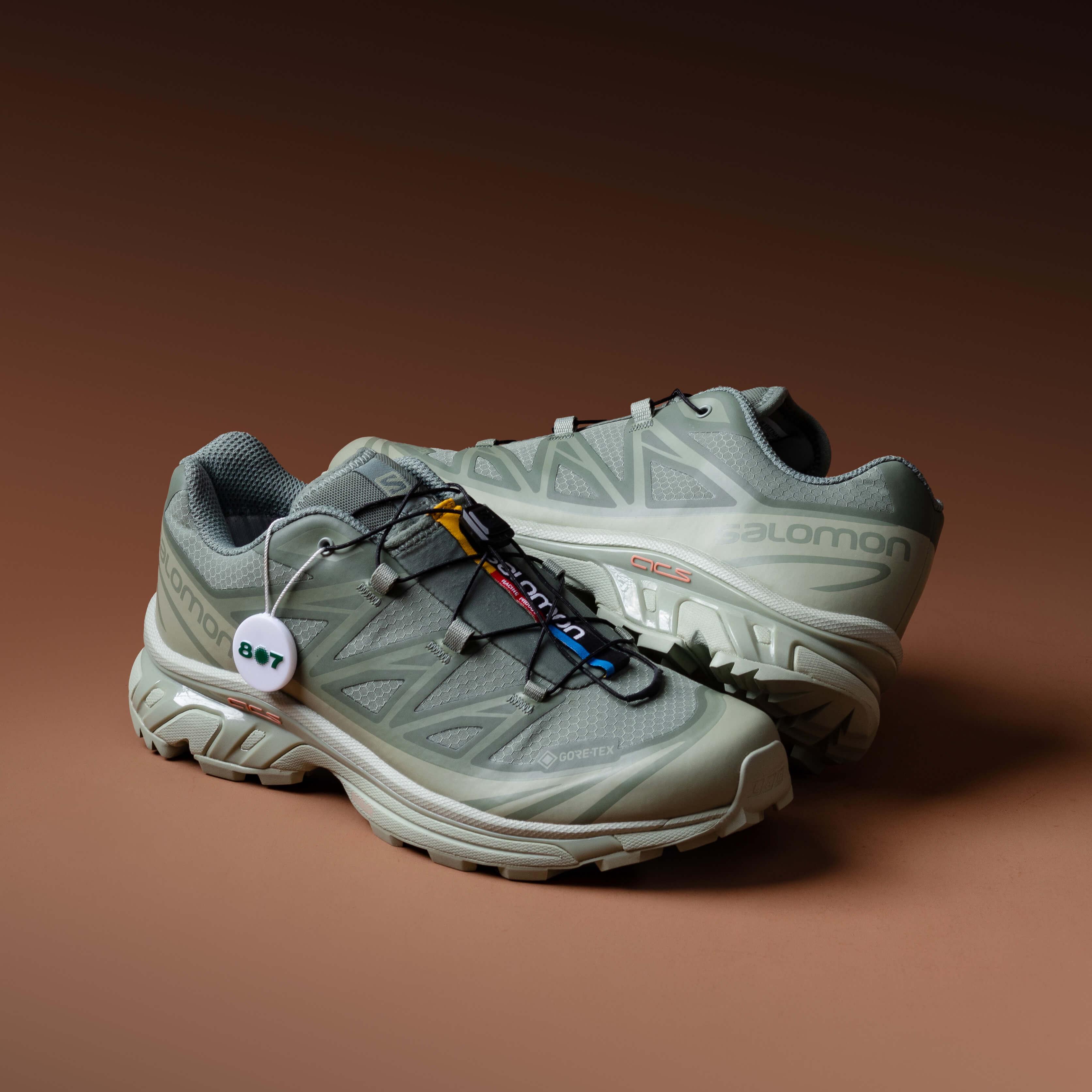 Salomon XT6 Goretex Desert Sage Lily Pad 