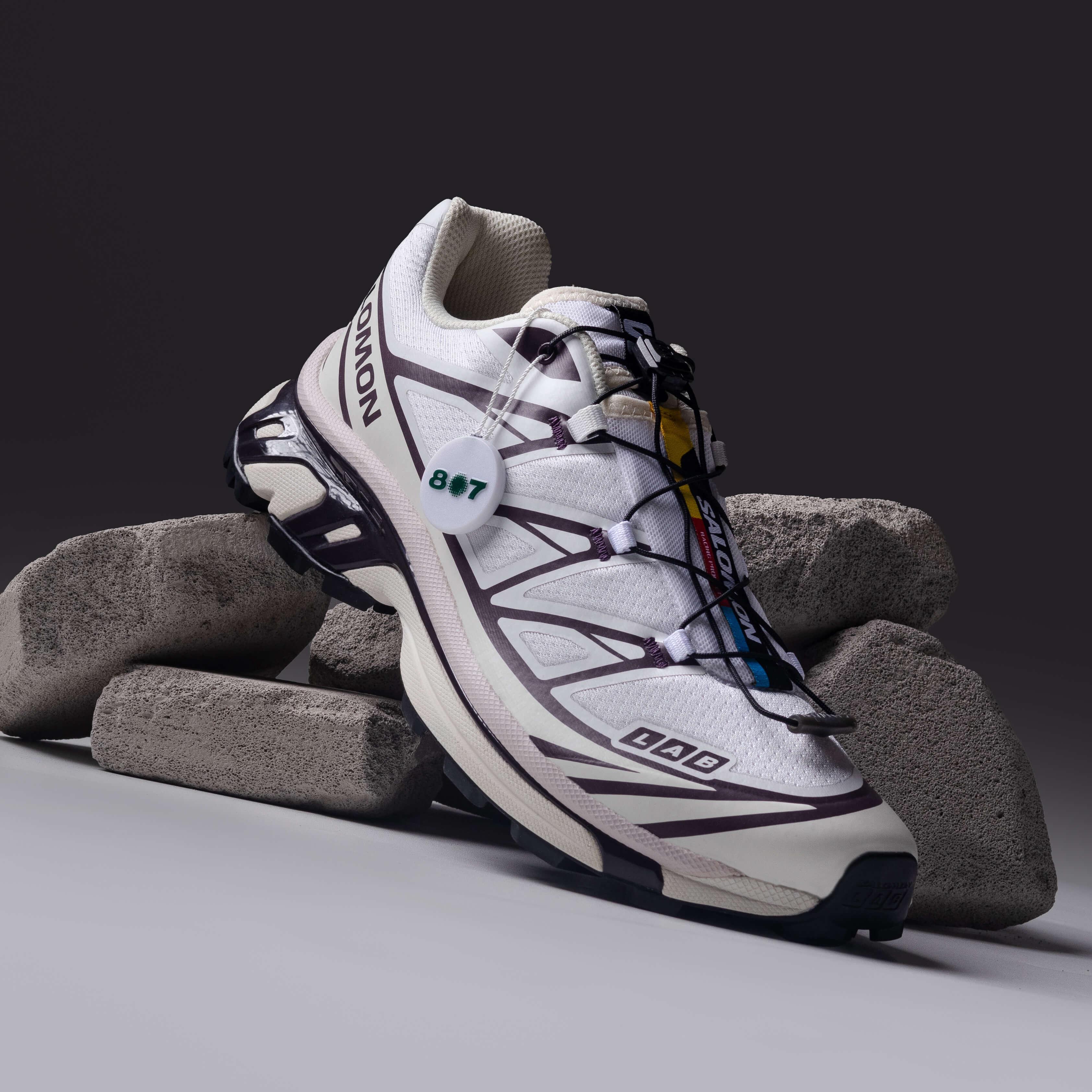 Salomon XT6 White Vanilla Ice Plum