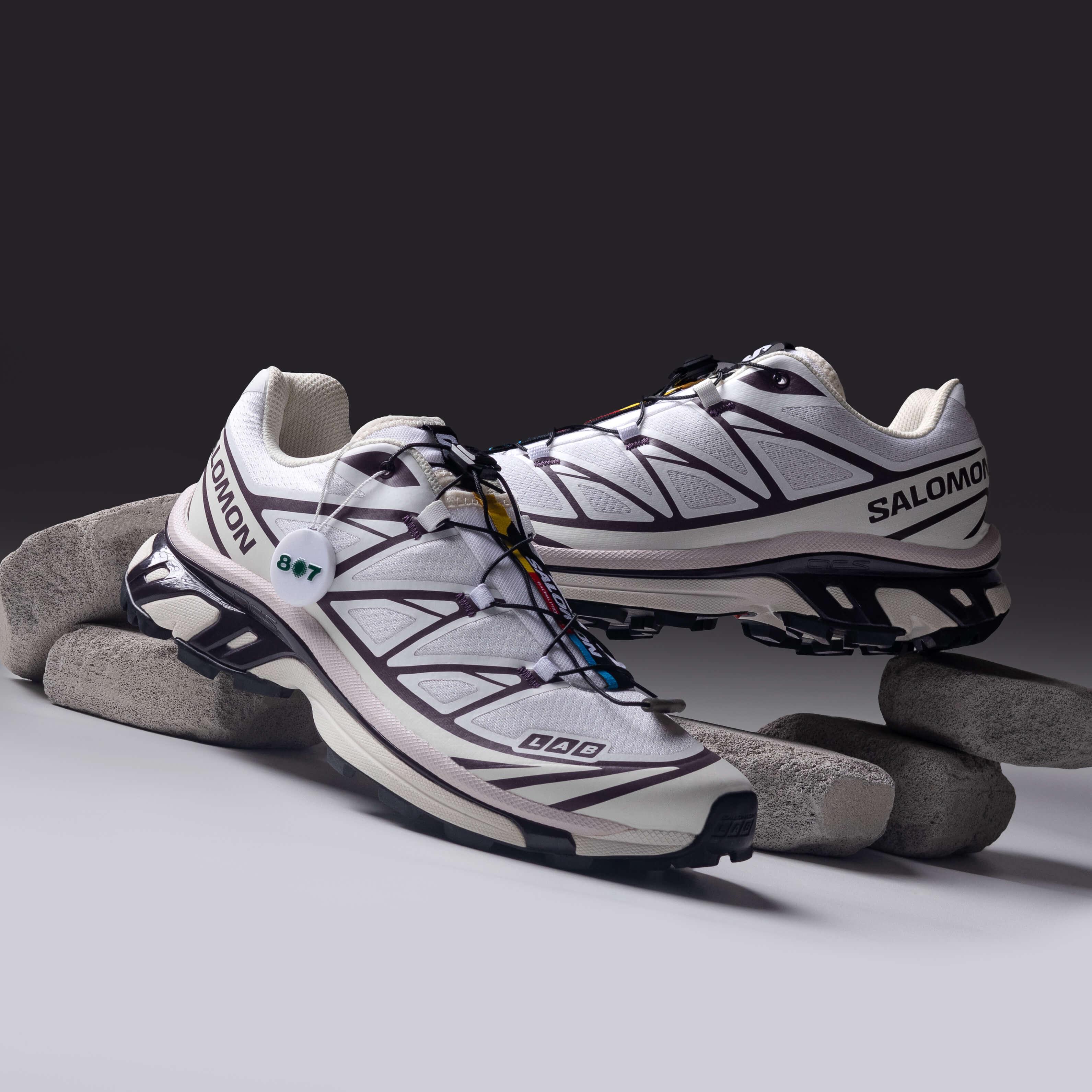 Salomon XT6 White Vanilla Ice Plum