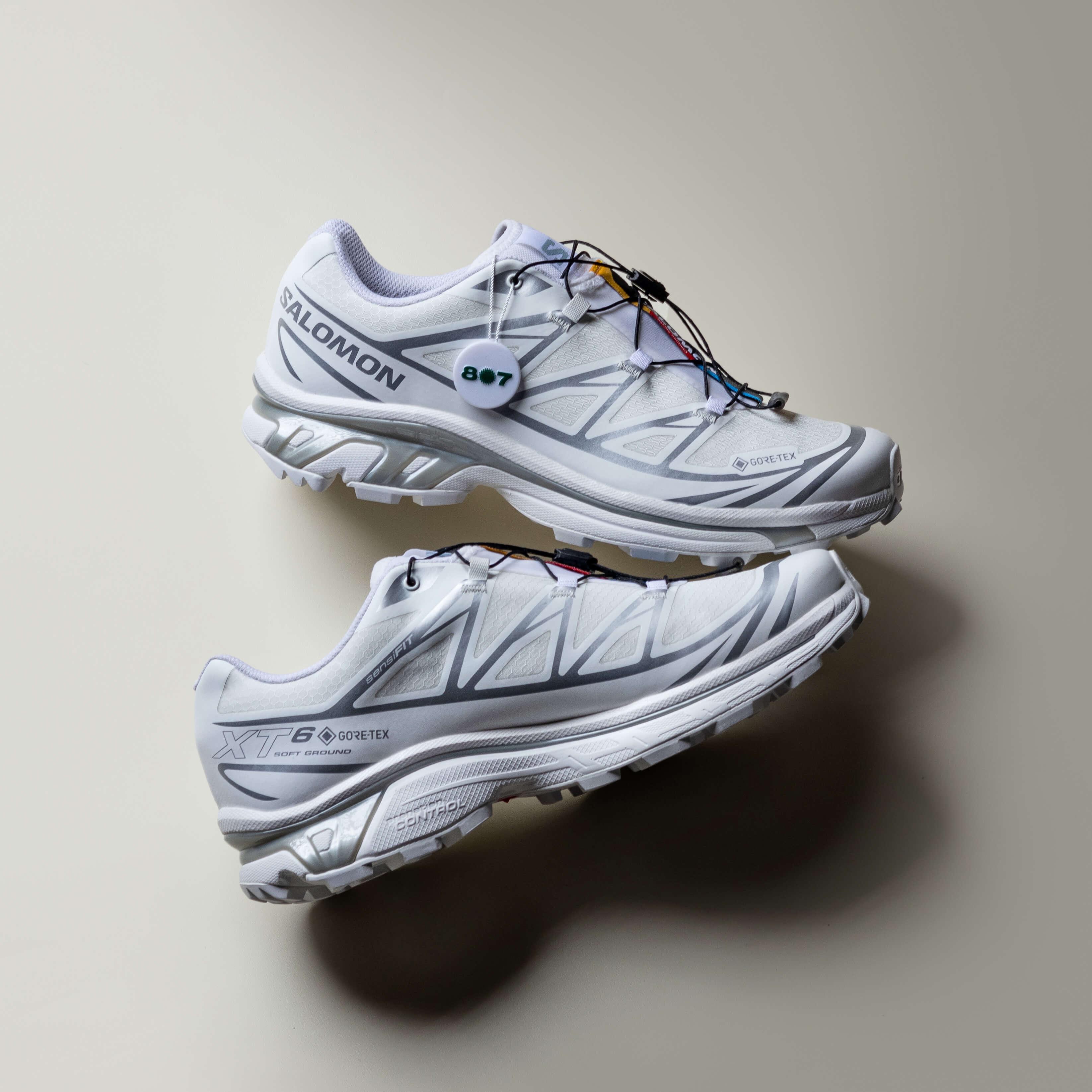 Salomon XT6 Goretex White Silver