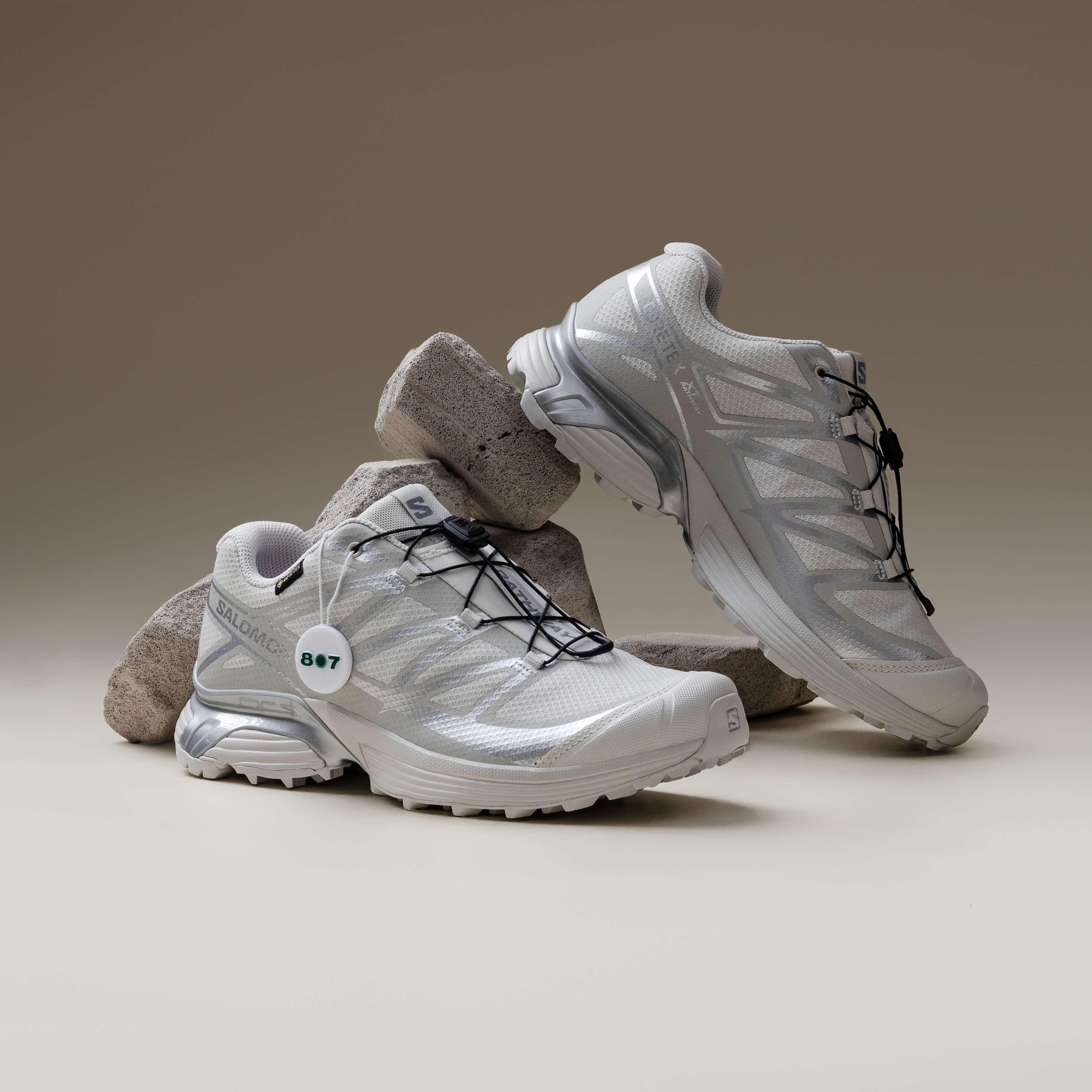 Salomon XT Pathway Goretex Lunar Rock Alloy