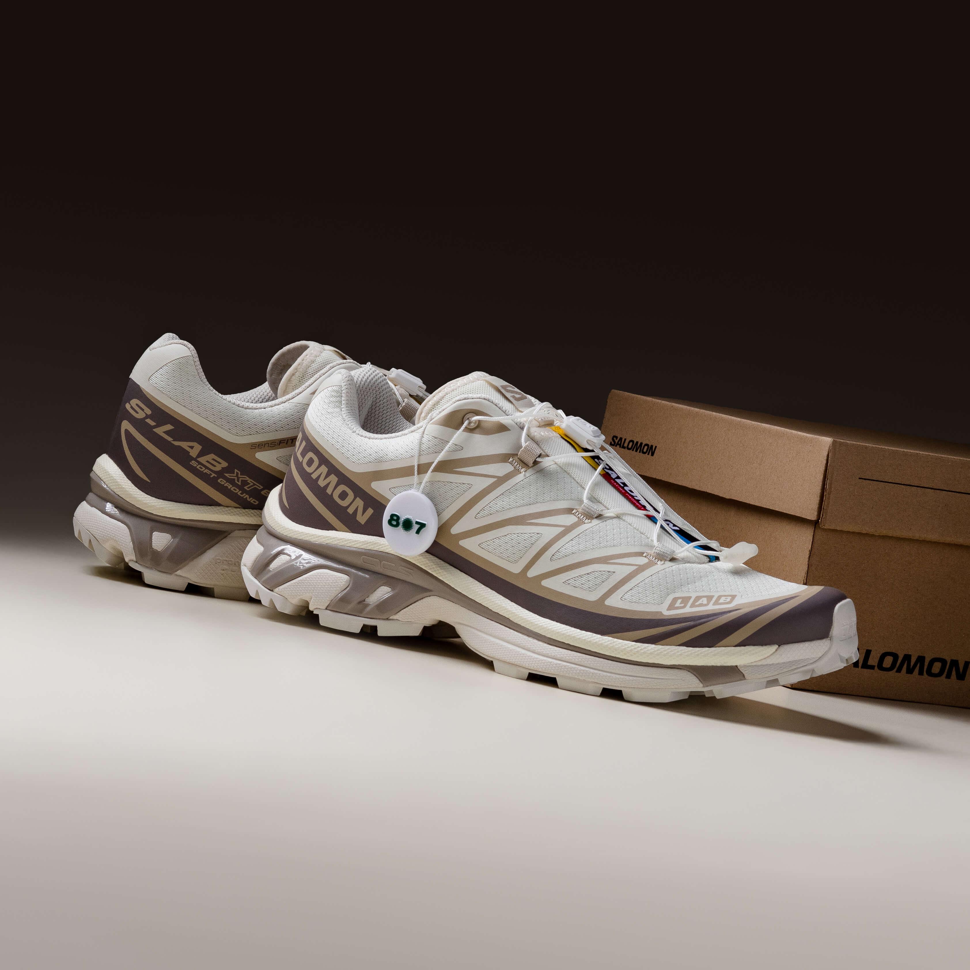 Salomon XT6 Vanilla Ice Iron Etherea