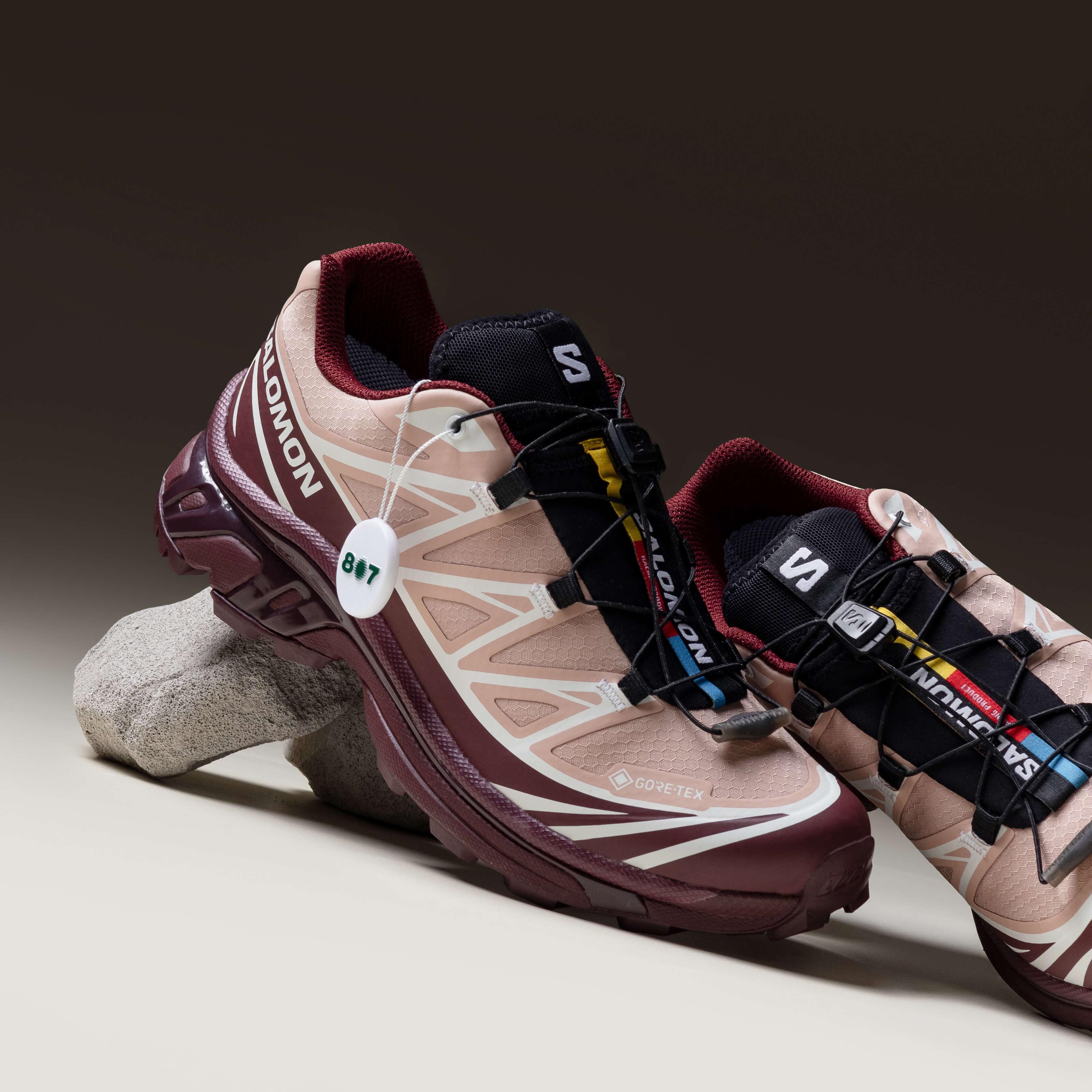 Salomon XT6 Goretex Mahogany Rose Tawny Port