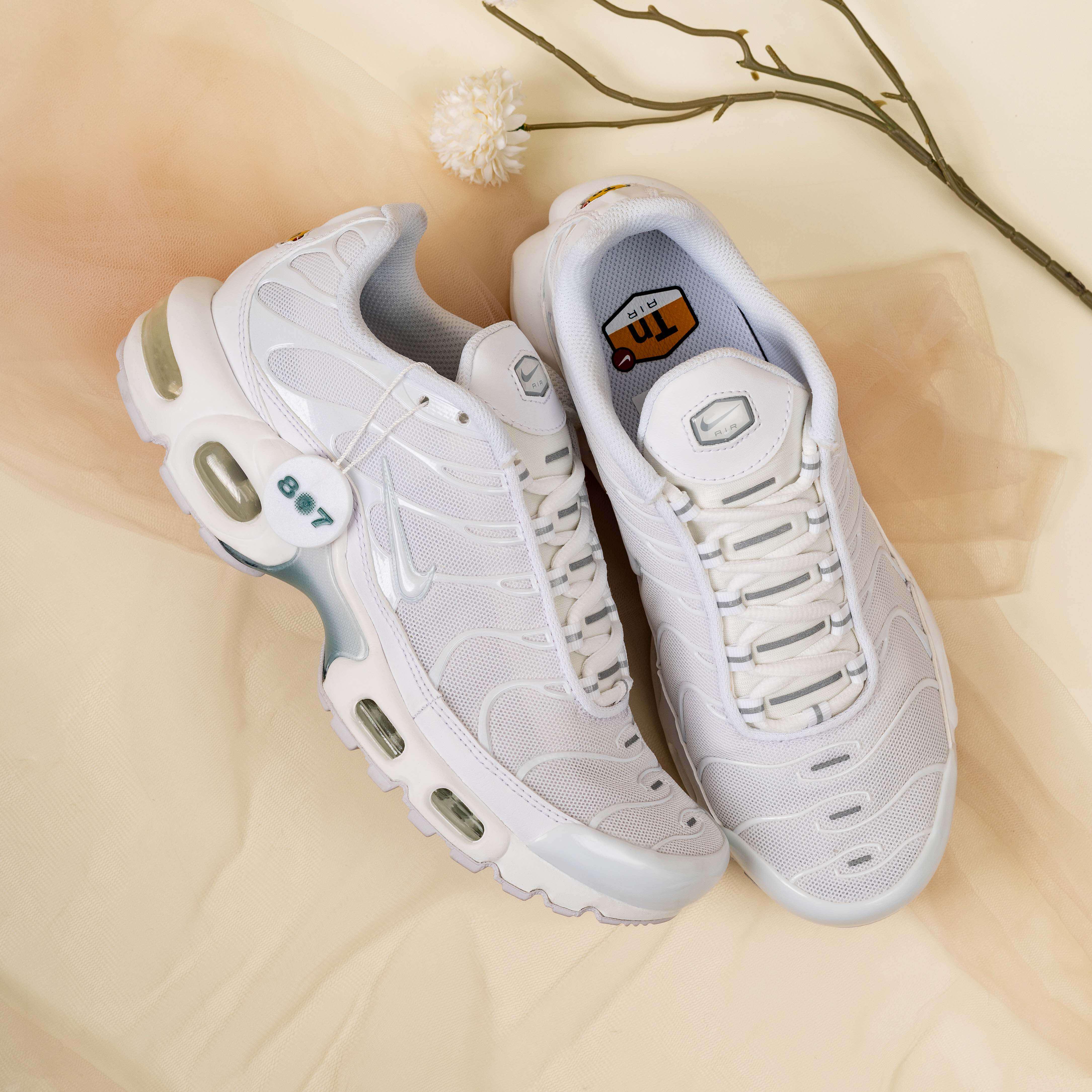 Air Max Plus White Pure Platinum