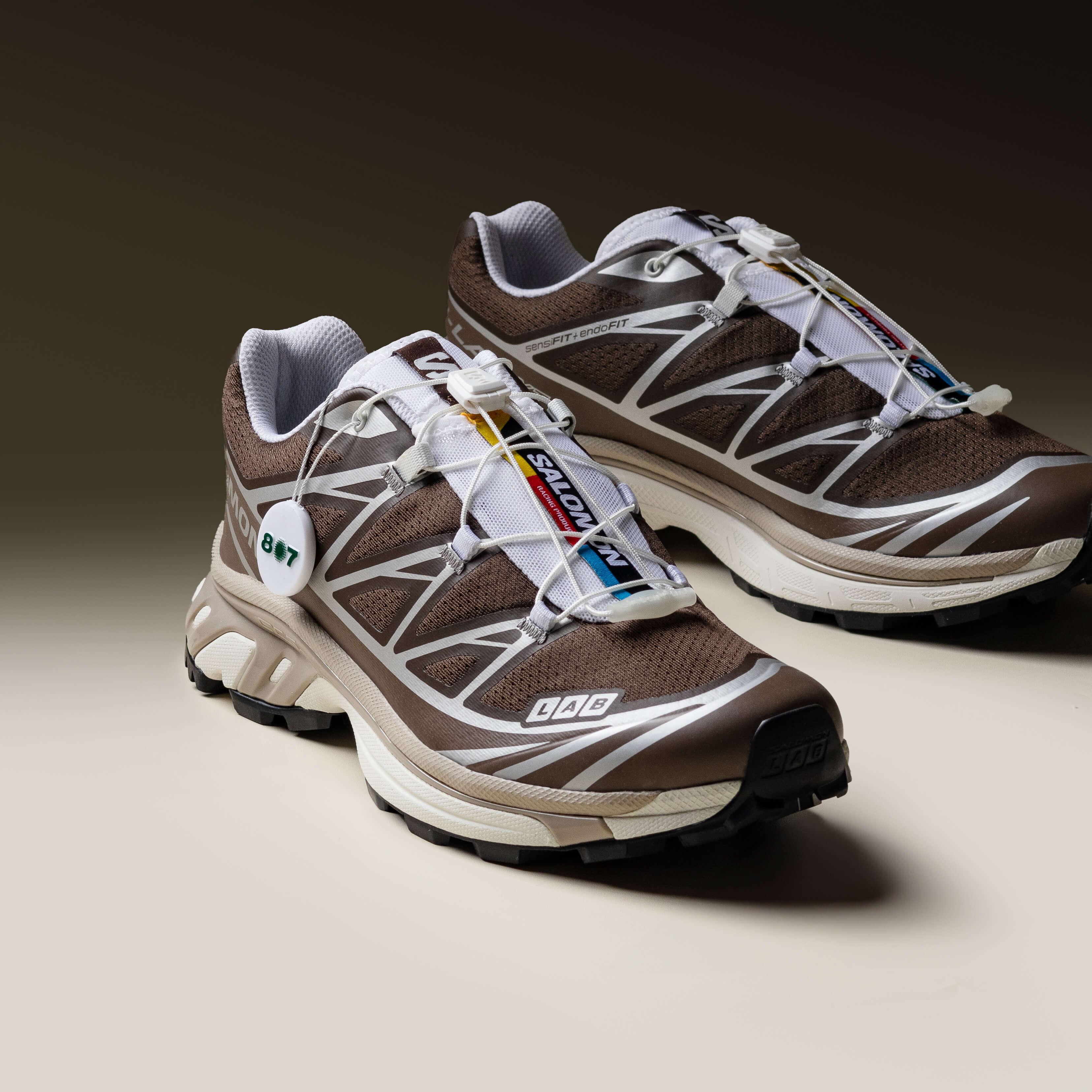 Salomon XT6 Earth Brown Walnut
